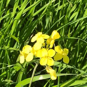 Meet your Posher, Ellie